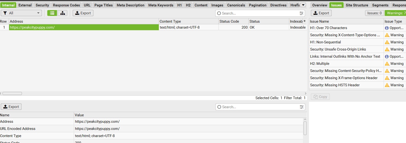 Technical SEO Audit for Business Website